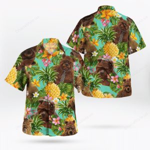 Bobo The Bear Hawaiian Shirt-1